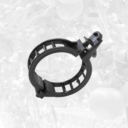 Anillo de Tutoreo